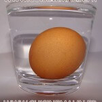 Oeufs frais